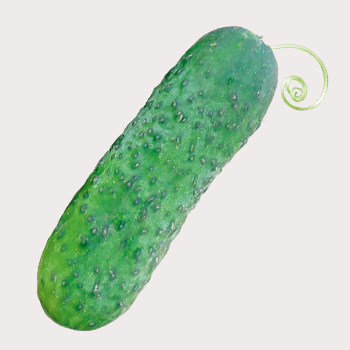 Uborkák - Kesjár Flora