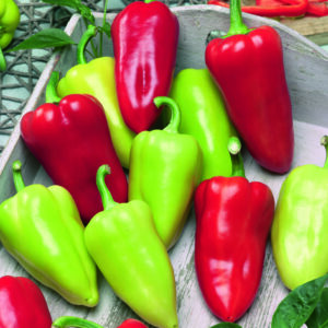 Slavus F1 paprika vetőmag