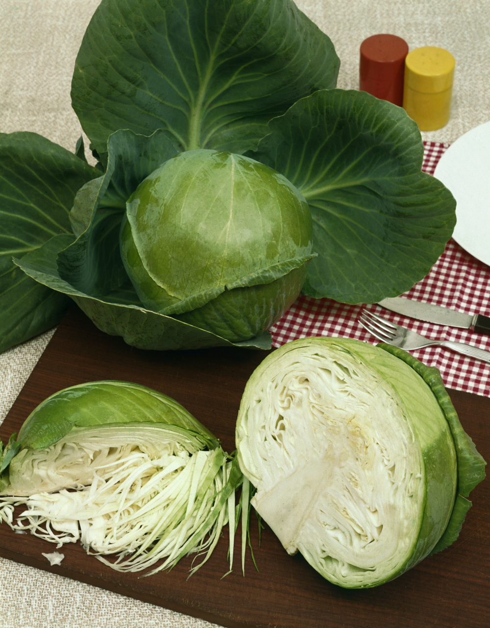 Weisskohl / Brassica oleracea var. capitata f. alba Wr. Frühes Babyland