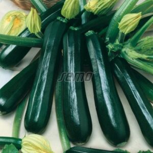 Gambit F1 cukkini vetőmag