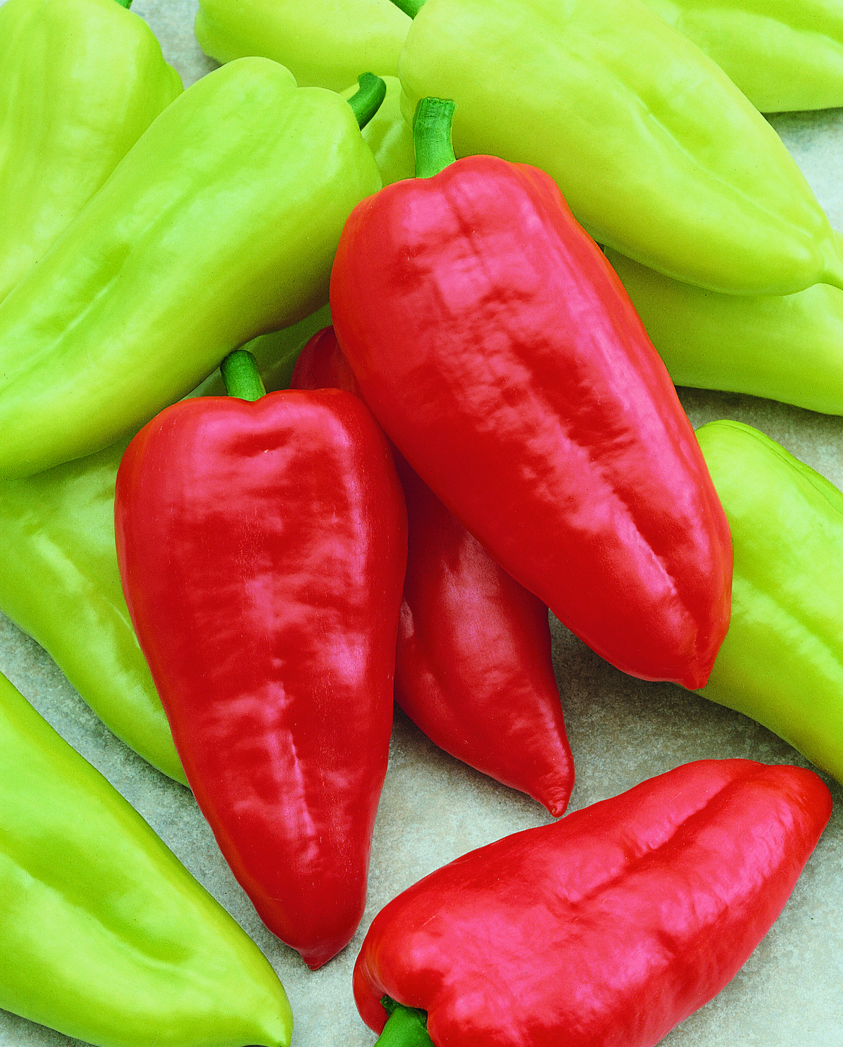 Capsicum Slovakia